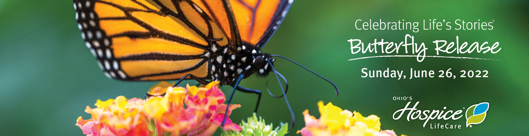 Celebrating Life's Stories Butterfly Release 2022