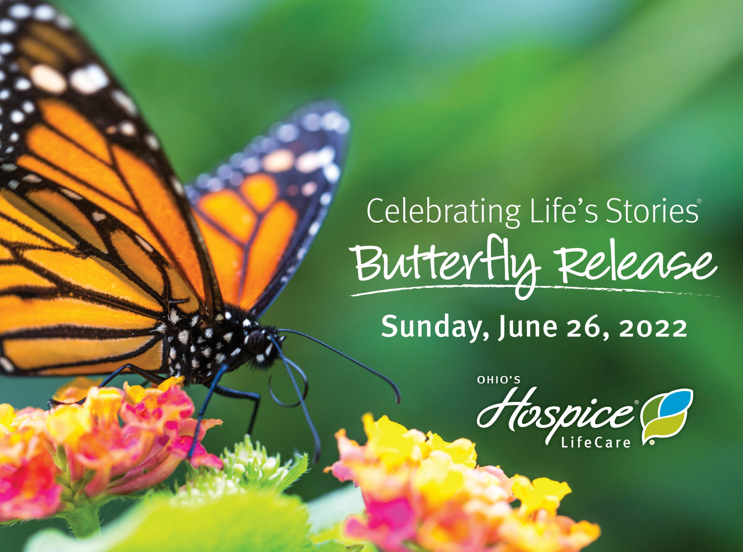 Butterfly Release